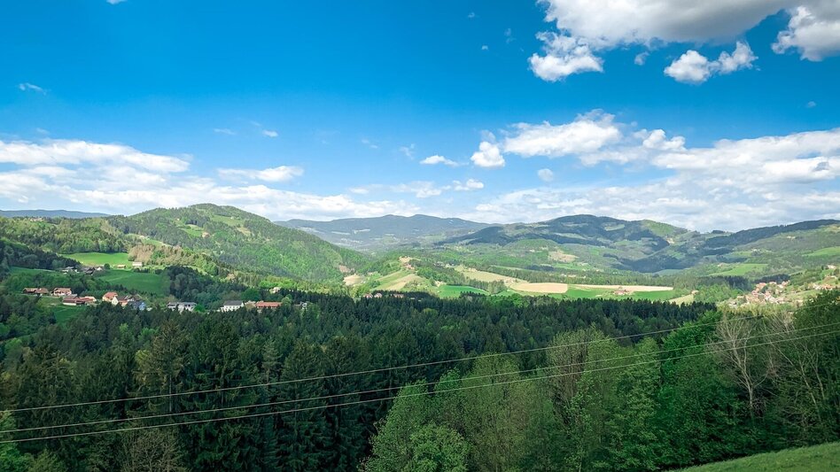 Mountainbike Panoramatour (Eibiswald), Nr. 102 - Touren-Impression #2.9 | © TVB Südsteiermark/Bernhard Prangl