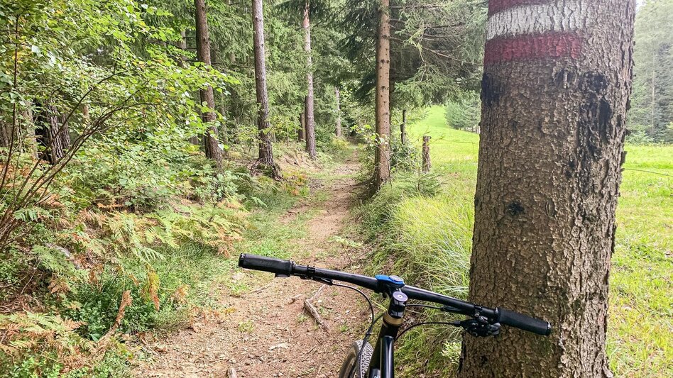 Mountainbike Auenberg - Radlpass, Nr. 119 - Touren-Impression #2.3 | © Südsteiermark
