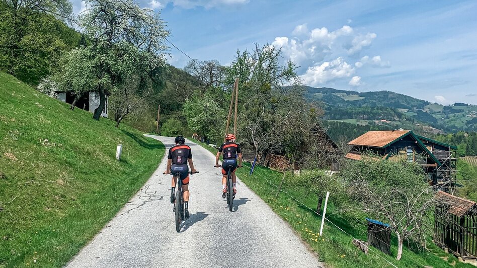 Mountainbike Schmuckbauerwirt, Nr. 109 - Touren-Impression #2.2 | © Südsteiermark