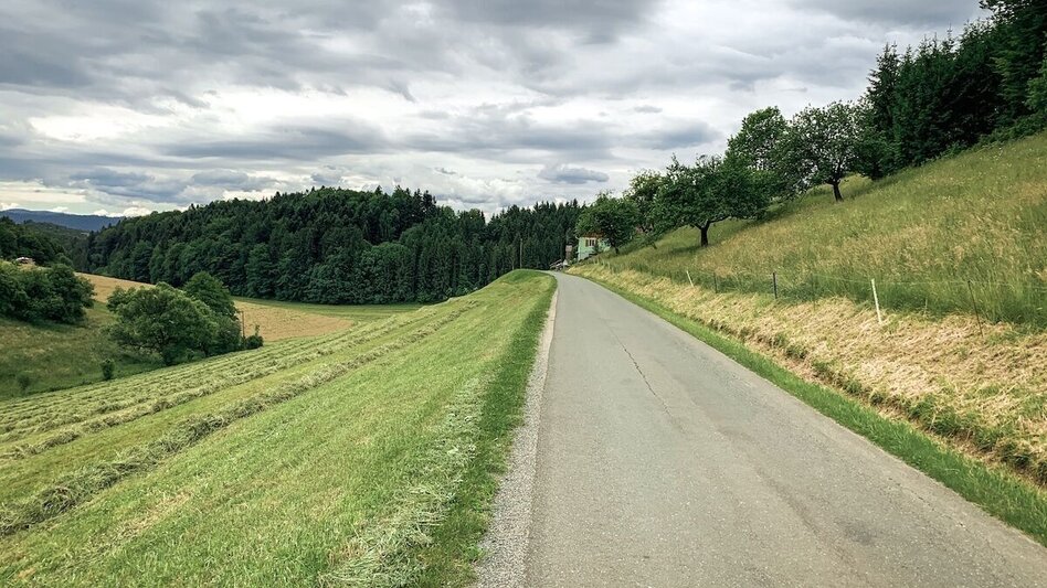 Mountainbike Schilcherland-Rebenland, Nr. 107 - Touren-Impression #2.5 | © Südsteiermark