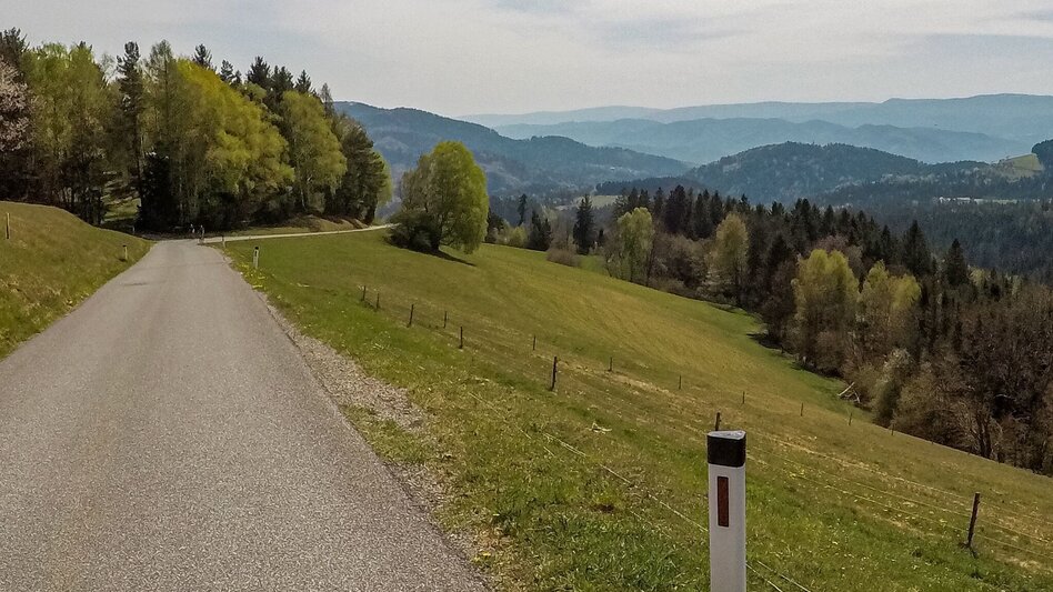Mountainbike Um St. Lorenzen, Nr. 112 - Touren-Impression #2.2 | © Südsteiermark