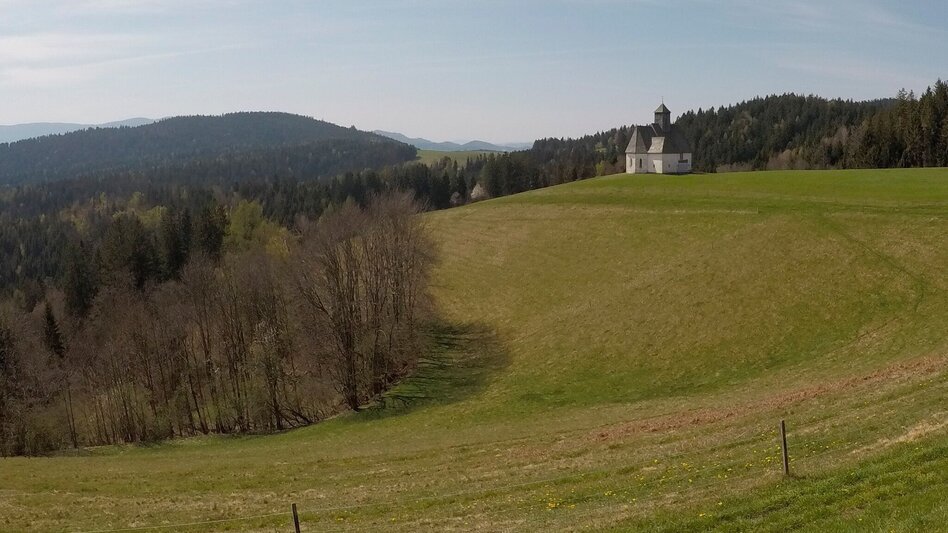 Mountainbike Um St. Lorenzen, Nr. 112 - Touren-Impression #2.3 | © Südsteiermark