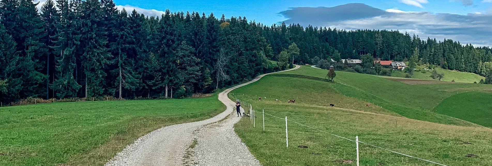 Mountainbike Odernik-Tour – die kleine Nandl mit großem Panorama - Touren-Impression #1 | © Südsteiermark