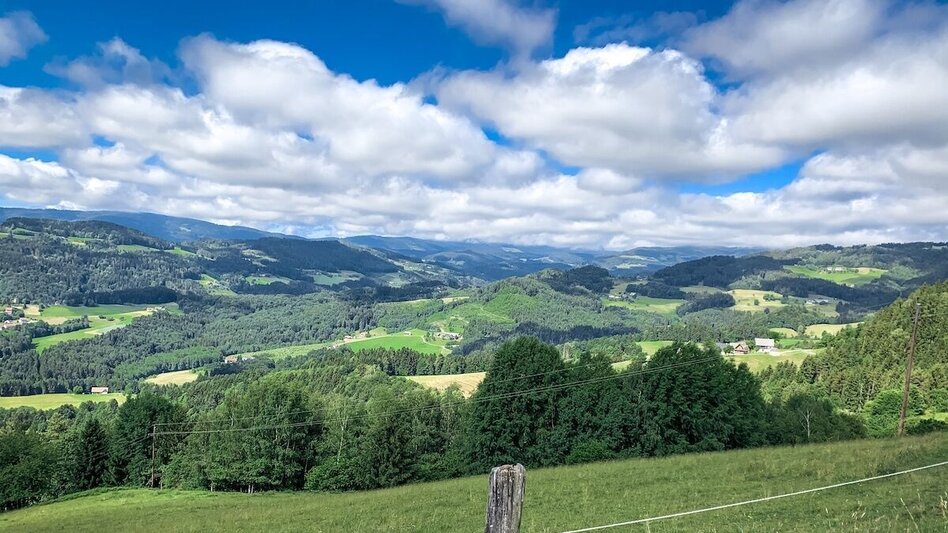 Mountainbike Schirchleralm (Eibiswald), Nr. 124 - Touren-Impression #2.3 | © Südsteiermark