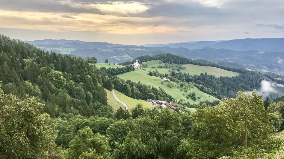 Mountainbike Svetij Janez, Nr. 117 - Touren-Impression #2.5 | © Südsteiermark