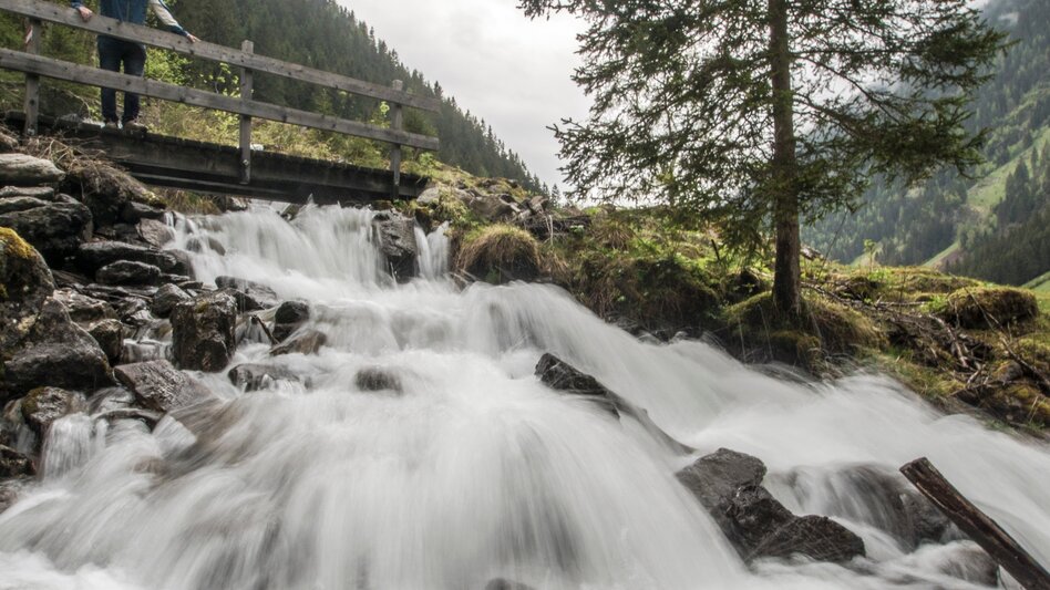 Wanderung Zum Duisitzkarsee - ein Naturjuwel - Touren-Impression #2.8 | © Gerhard Pilz - www.gpic.at