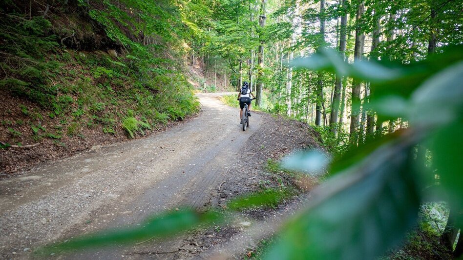 Mountainbike Urbani–Svetij Duh, Nr. 118 - Touren-Impression #2.2 | © Schilcherland Steiermark