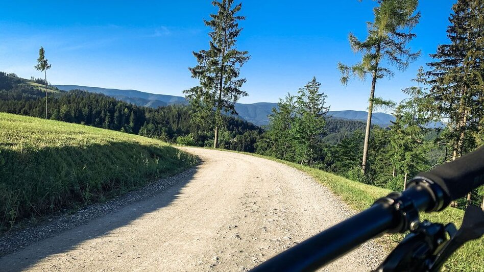 Mountainbike Urbani–Svetij Duh, Nr. 118 - Touren-Impression #2.5 | © Schilcherland Steiermark