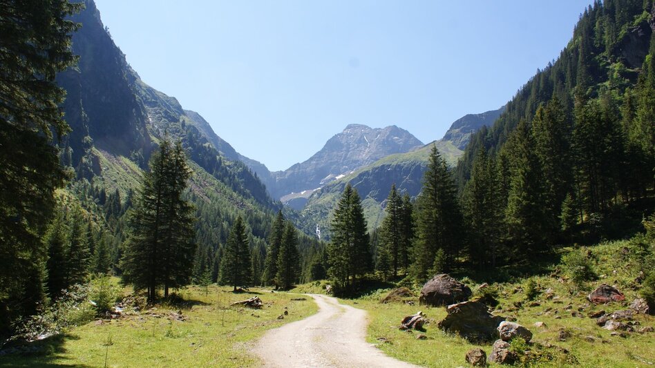 Mountain Hike Hochgolling - 2,862 m - Touren-Impression #2.1 | © Gerhard Pilz