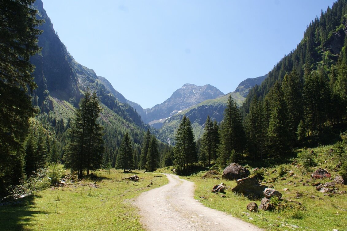 Mountain Hike Hochgolling - 2,862 m - Touren-Impression #1 | © Gerhard Pilz