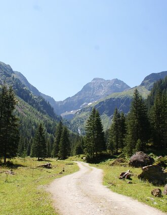 Forest road to Untere Stegeralm - Hochgolling summit in the backdrop | Gerhard Pilz | © Gerhard Pilz