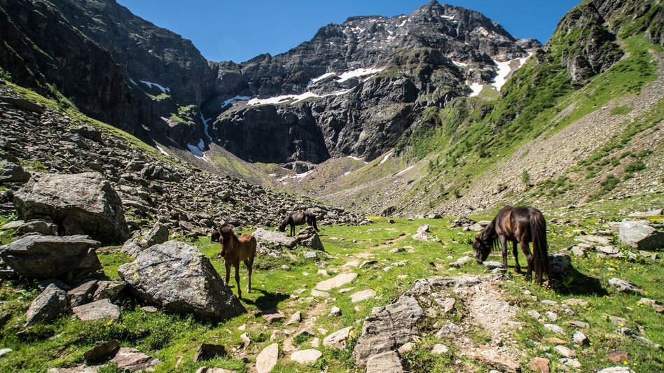 Mountain Hike Hochgolling - 2,862 m - Touren-Impression #2.3 | © Gerhard Pilz - www.gpic.at