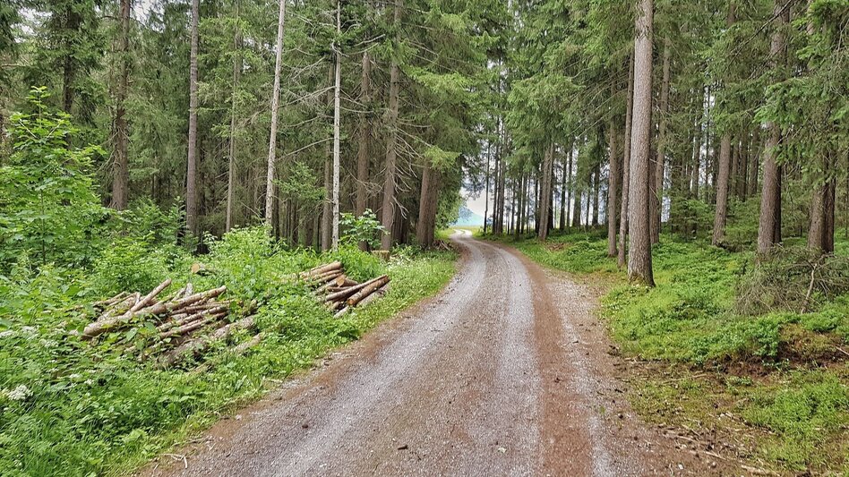 Wanderung Katzenburgrunde - Touren-Impression #2.3 | © Gerhard Pilz