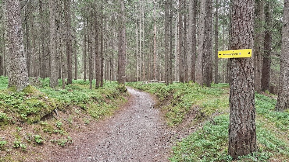 Wanderung Katzenburgrunde - Touren-Impression #2.6 | © Gerhard Pilz