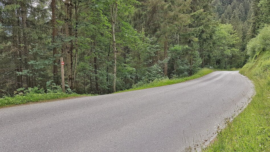 Wanderung Katzenburgrunde - Touren-Impression #2.8 | © Gerhard Pilz