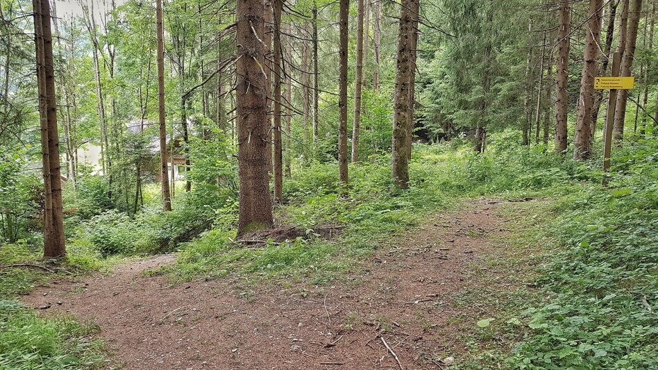 Wanderung Katzenburgrunde - Touren-Impression #2.9 | © Gerhard Pilz