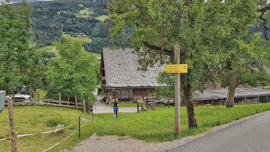 Wanderung Katzenburgrunde - Touren-Impression #2.10 | © Gerhard Pilz