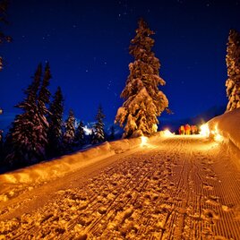 Nachtrodeln auf der Planneralm | © Erlebnisregion Schladming-Dachstein