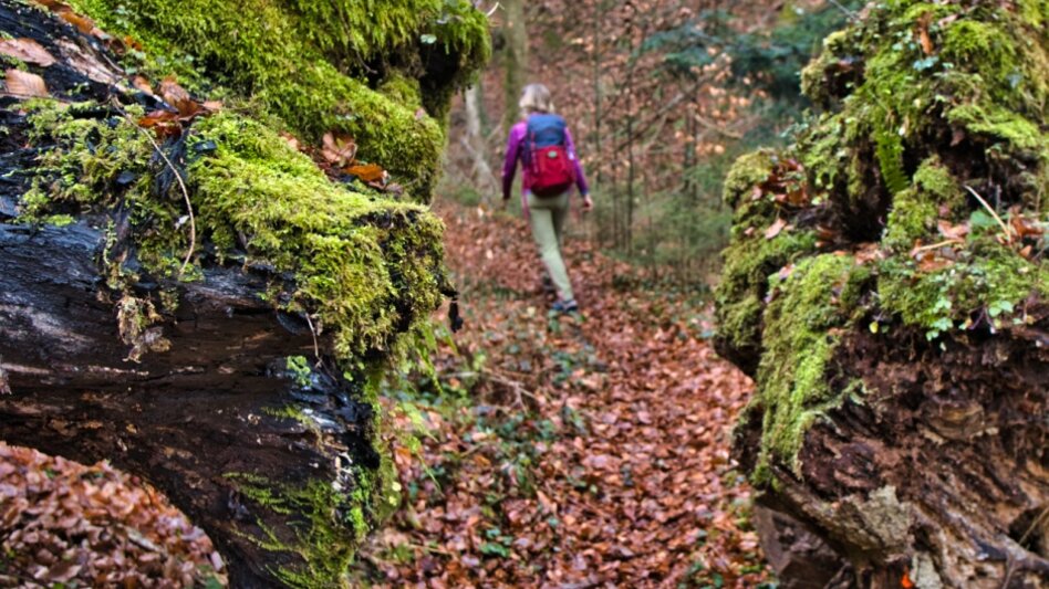 Hiking Route Circular hiking trail to Trahütten Nr. 13 and 14 - Touren-Impression #2.1 | © TVB/Südsteiermark/WEGES OG Sarcletti / Zienitzer