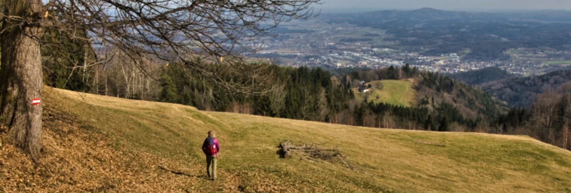 Hiking route Rundweg nach Trahütten - Touren-Impression #1 | © Community