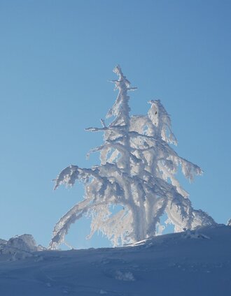 Winterwanderweg Pichl-Vorberg | Schladming Dachstein | © Erlebnisregion Schladming-Dachstein