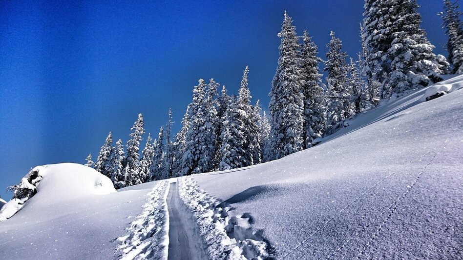 Ski Touring Skitour Michaelerberghaus - Touren-Impression #2.2 | © Erlebnisregion Schladming-Dachstein