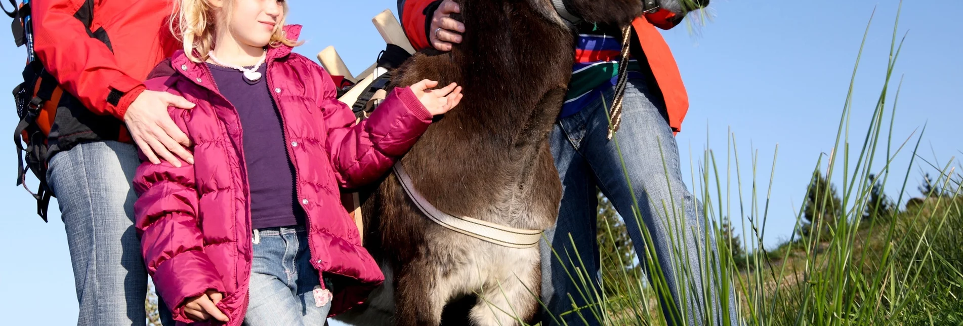 Themen- und Lehrpfad Grenzüberschreitende Eselwanderung - Touren-Impression #1 | © Südsteiermark