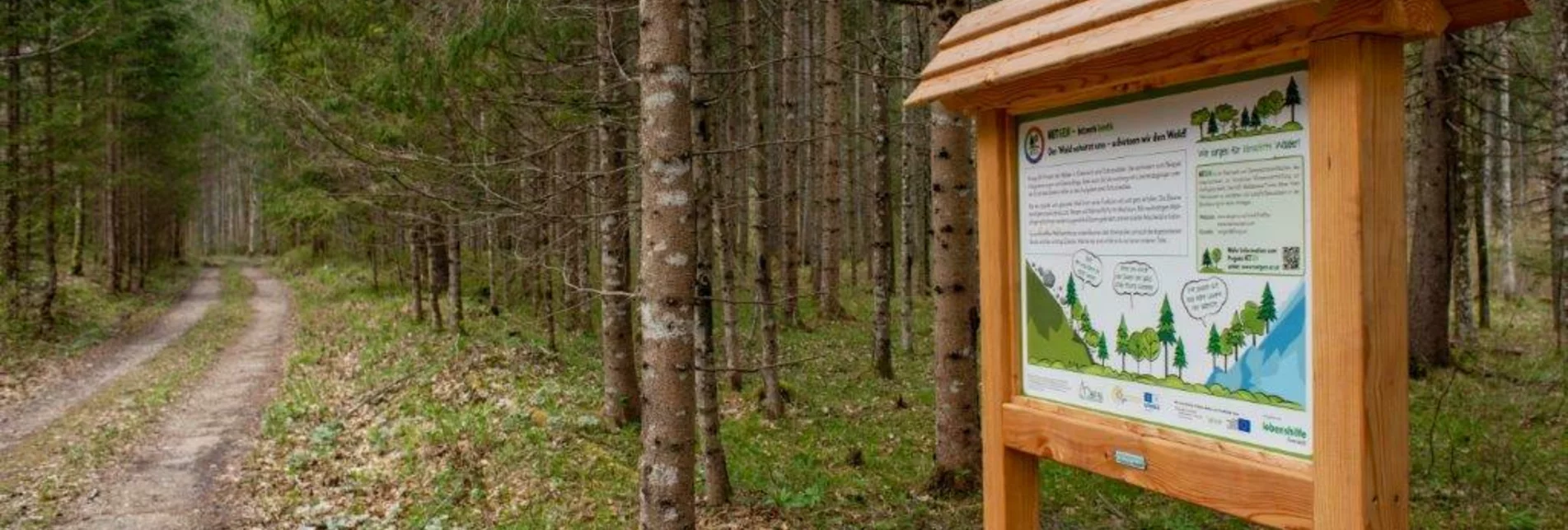 Themenweg Klimafitter Wald - Gams - Touren-Impression #1 | © TV Gesäuse