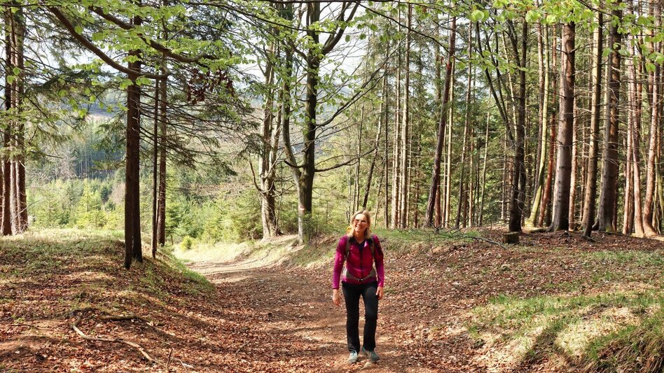 Hiking Route Himberger Eck - Touren-Impression #2.1 | © Tourismusverband ERZBERG LEOBEN