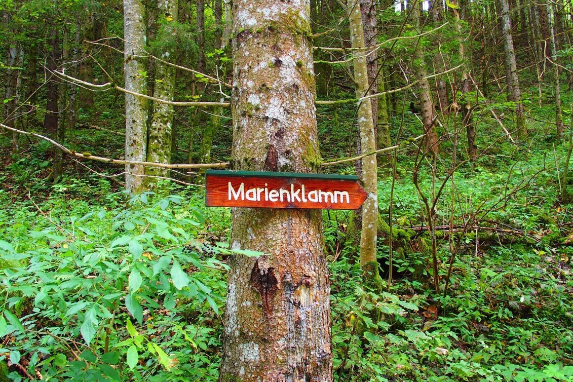 Hiking Route Marienklamm in Tragöß - Touren-Impression #1 | © FVV  Tragöß - St. Katharein