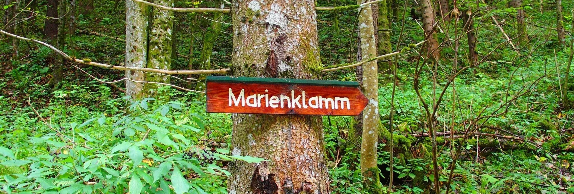 Hiking route Marienklamm in Tragöß - Touren-Impression #1 | © FVV  Tragöß - St. Katharein