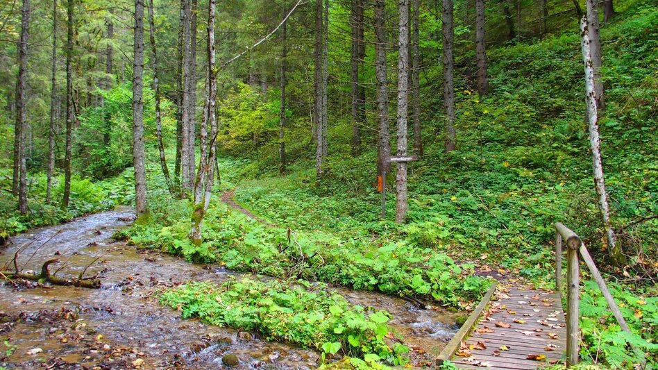Hiking Route Marienklamm in Tragöß - Touren-Impression #2.3 | © FVV  Tragöß - St. Katharein