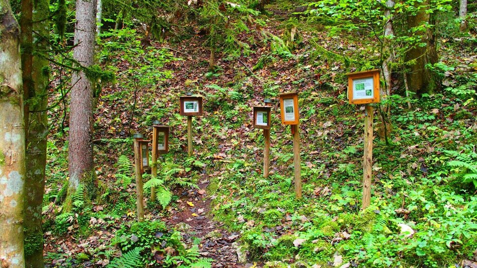 Hiking Route Marienklamm in Tragöß - Touren-Impression #2.8 | © FVV  Tragöß - St. Katharein