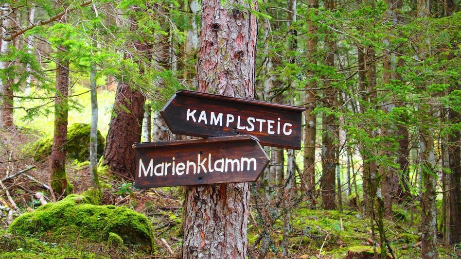 Hiking Route Marienklamm in Tragöß - Touren-Impression #2.11 | © FVV  Tragöß - St. Katharein