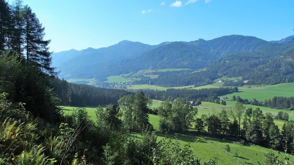 Hiking Route Lieglsteig - Touren-Impression #2.4 | © FVV  Tragöß - St. Katharein