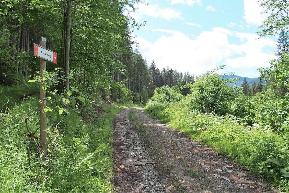 Hiking Route Brandweg - Touren-Impression #1 | © FVV  Tragöß - St. Katharein