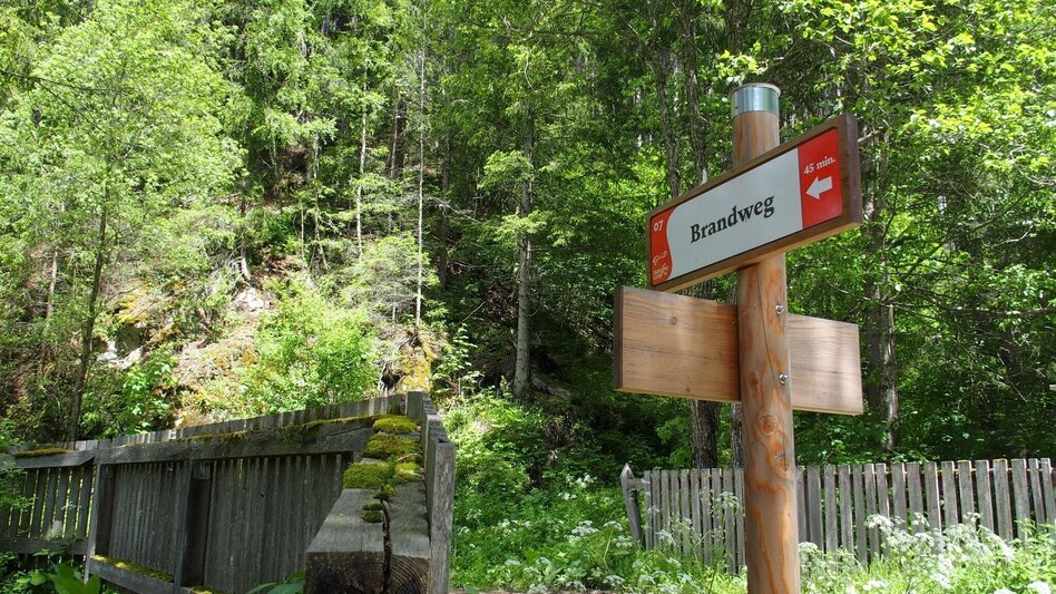 Hiking Route Brandweg - Touren-Impression #2.6 | © FVV  Tragöß - St. Katharein