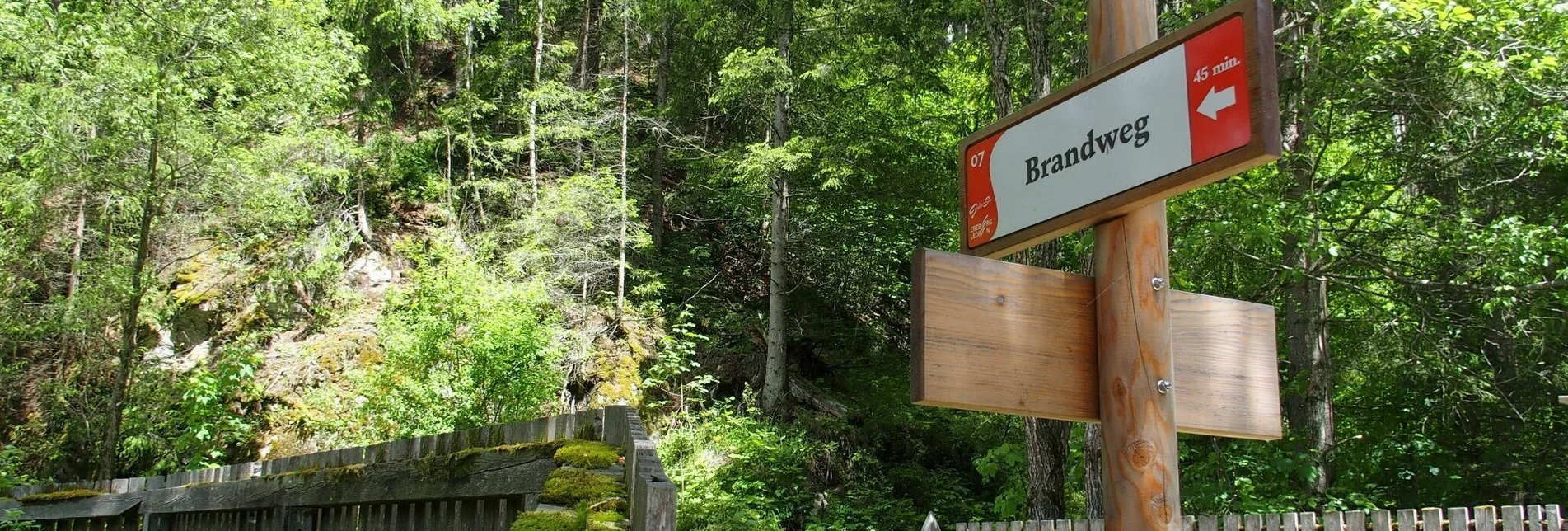 Hiking route Brandweg - Touren-Impression #1 | © FVV  Tragöß - St. Katharein