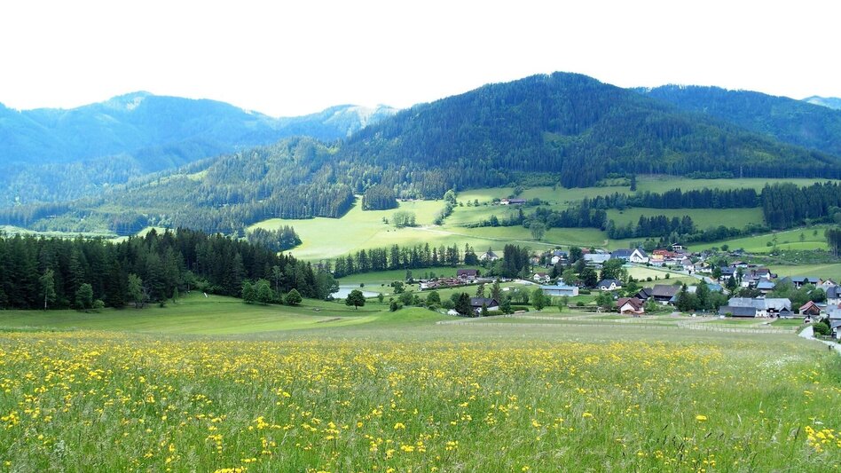 Hiking Route Brandweg - Touren-Impression #2.7 | © FVV  Tragöß - St. Katharein
