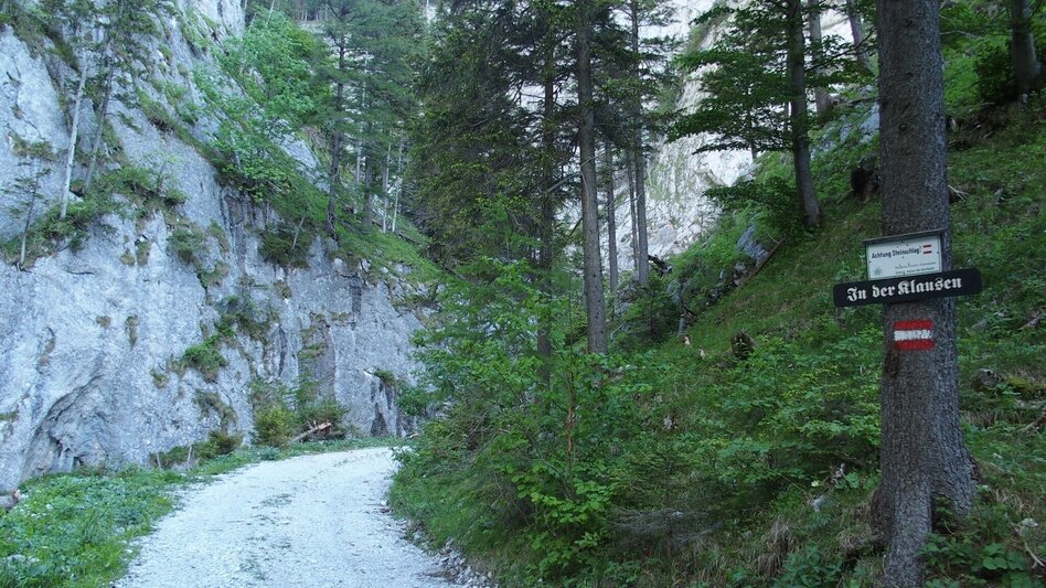 Hiking Route Klamm - Touren-Impression #2.2 | © Tourismusverband ERZBERG LEOBEN