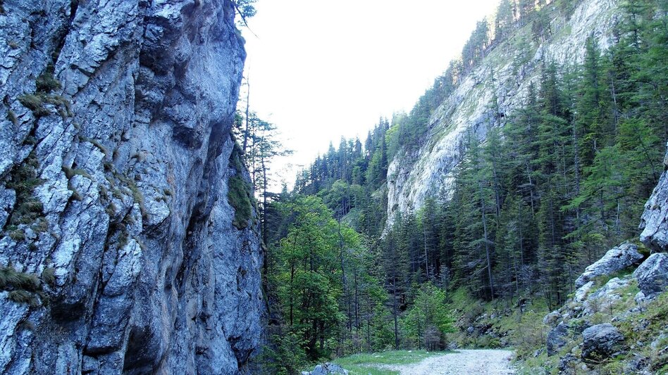 Hiking Route Klamm - Touren-Impression #2.4 | © Tourismusverband ERZBERG LEOBEN