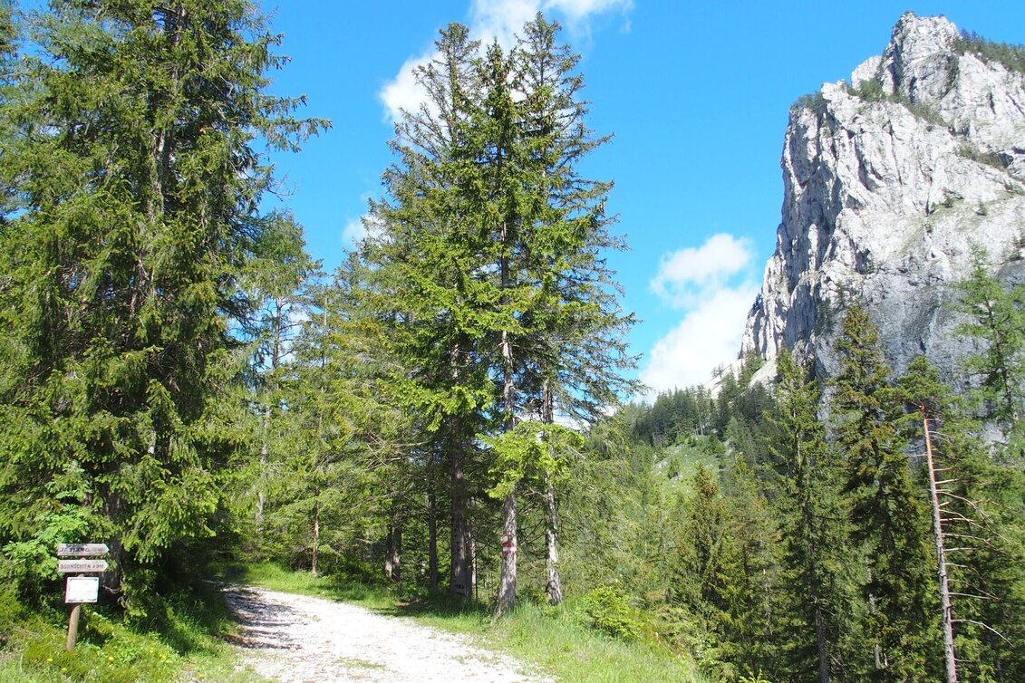 Hiking Route Jassingalm - Touren-Impression #1 | © FVV  Tragöß - St. Katharein