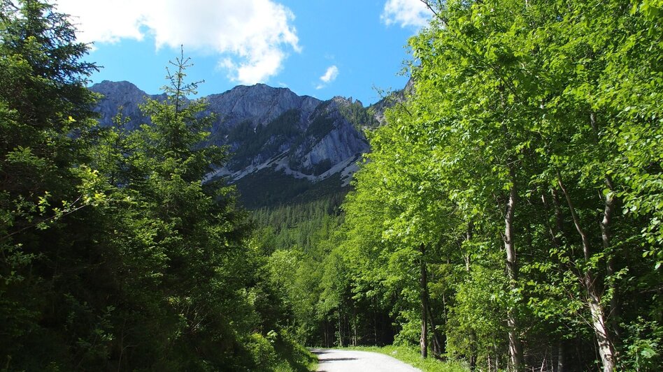 Hiking Route Jassingalm - Touren-Impression #2.12 | © FVV  Tragöß - St. Katharein