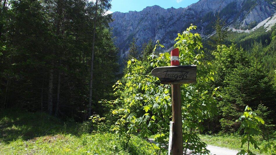 Hiking Route Jassingalm - Touren-Impression #2.13 | © FVV  Tragöß - St. Katharein