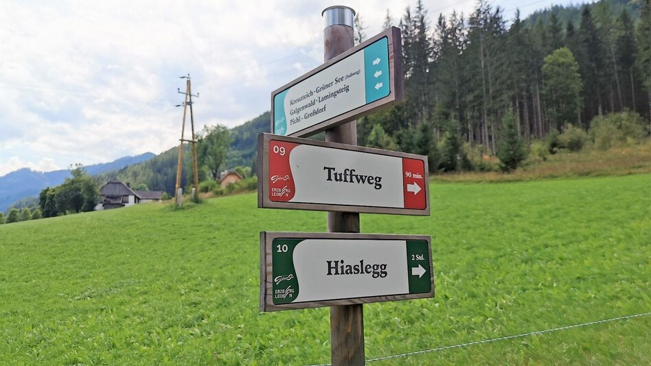 Hiking Route Hike up to the Hialsegg - Touren-Impression #2.1 | © FVV  Tragöß - St. Katharein