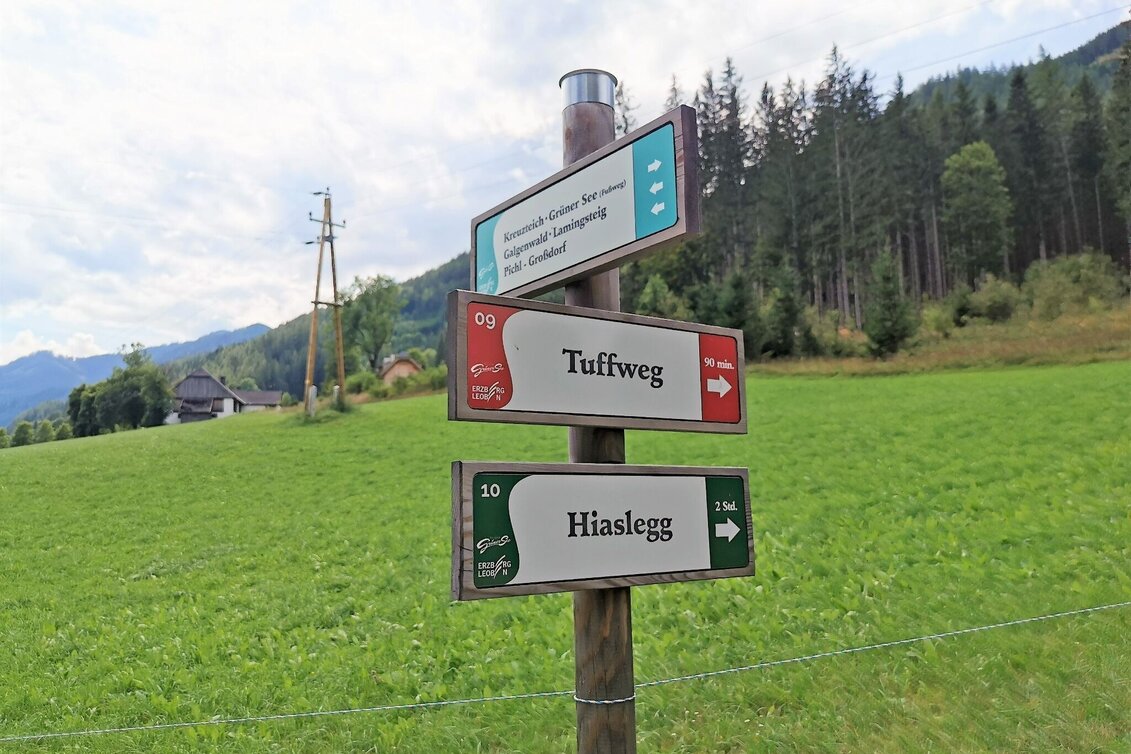 Hiking Route Hike up to the Hialsegg - Touren-Impression #1 | © FVV  Tragöß - St. Katharein