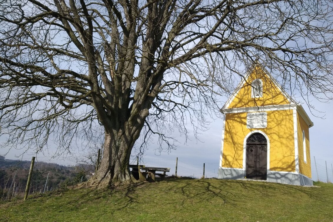 Wanderung AUERSBACH Himmel-Erden-Weg: Wandern für Alt und Jung in Feldbach - Touren-Impression #1 | © Miteinander aktiv Feldbach