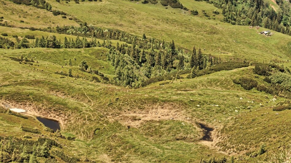 Hiking Route Styrian Iron Trail - 4. Etappe  Abstiegsvariante Radmer an der Stube - Touren-Impression #2.7 | © Weges OG