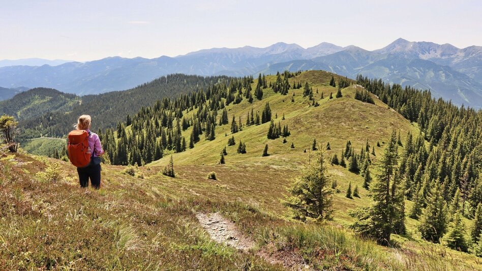 Hiking Route Styrian Iron Trail - 4. Etappe  Abstiegsvariante Radmer an der Stube - Touren-Impression #2.8 | © Weges OG