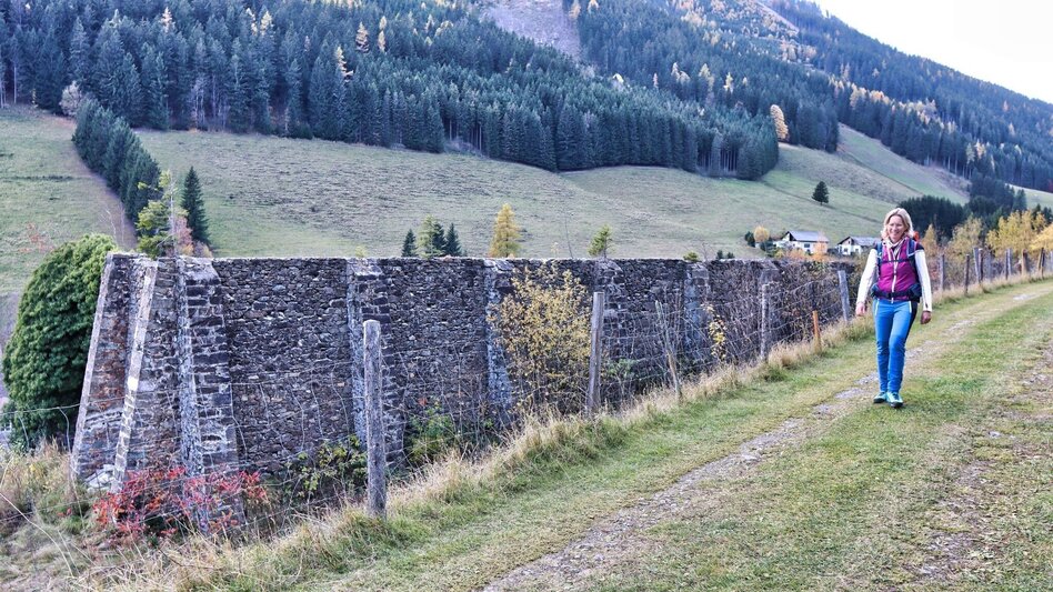 Hiking Route  6. Etappe und 7.Etappe Styrian Iron Trail -  Umgehung während der Jagdsperre - Touren-Impression #2.4 | © Weges OG